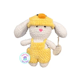 ארנבון עם כובע אפרוח